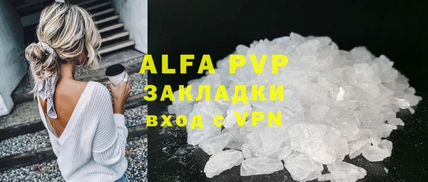 гидра Абаза